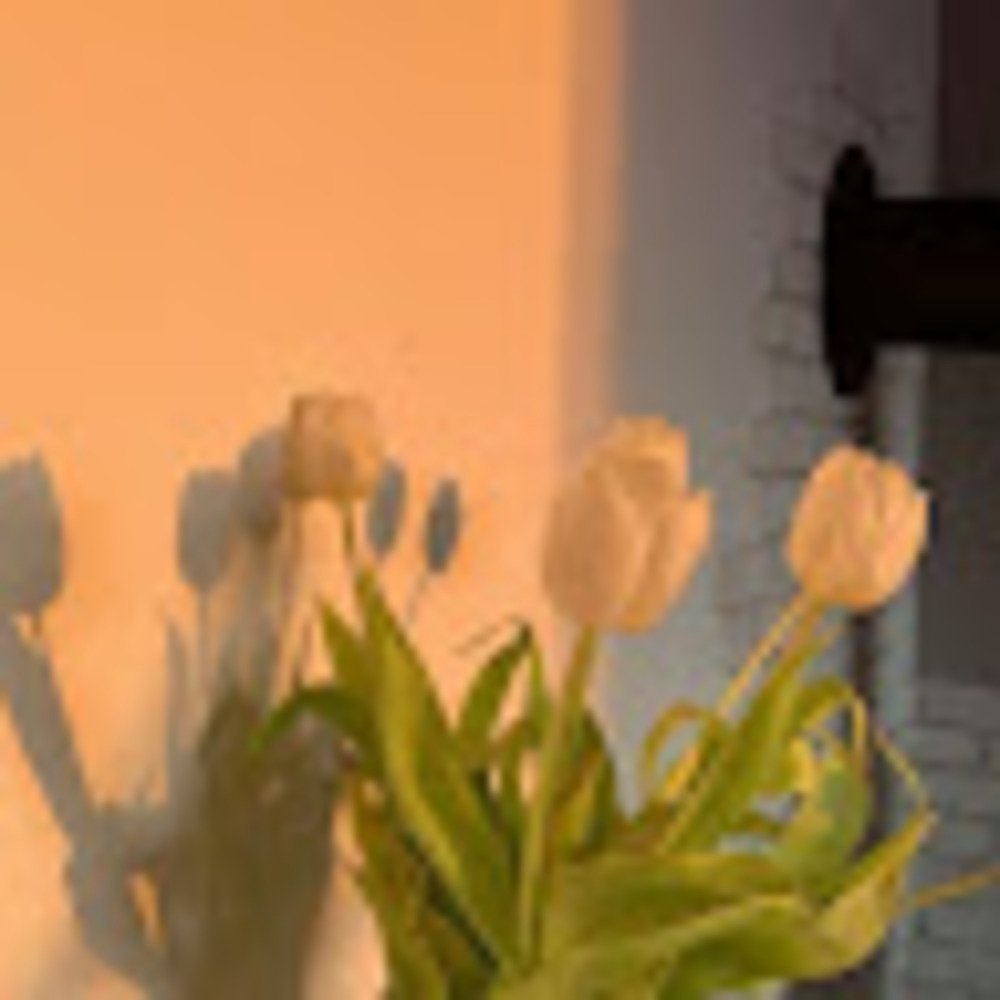 Meet your Posher, Victoria